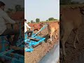 Sai Sheti Avjare Pathri Mo 8888676053