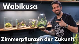 Wabikusa - Zimmerpflanzen der Zukunft