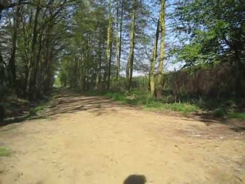 bewijs van goed gedrag en zeden