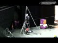 Circus Comes To Town