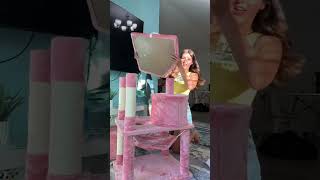 Build a cat castle ? / Eva Miller TikTok #evamiller #tiktok #shorts #trending #ytshorts #shortvideo