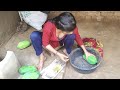 जाने पपीते की पाल कैसे लगाते हैं Rakhi Cooking R