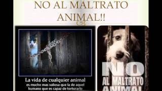 preview picture of video 'LA NATURALEZA Y LA VIDA DE LOS ANIMALES'