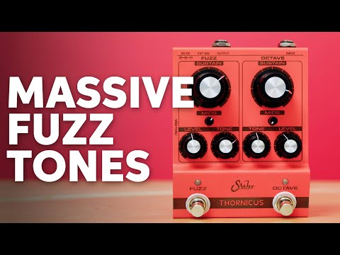 Thornicus by Suhr | RockBoard