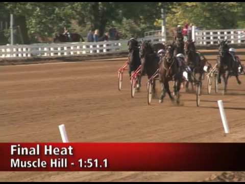 2009 Kentucky Futurity -- USTA harness racing Hoof Beats