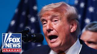 Trump brings ‘common-sense approach’ to AI panic surge, WSJ columnist says