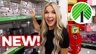 Everyone will be buying DOLLAR TREE ORGANIZATION when they see this!
