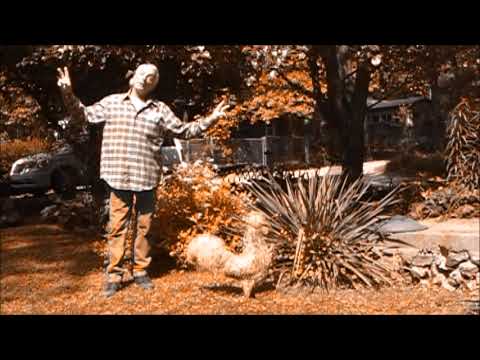 .Chloe Thornton Birthday Wish .