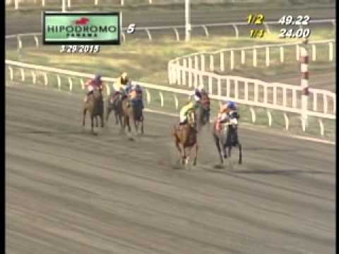 5TA CARRERA DOMINGO 29 DE MARZO 2015