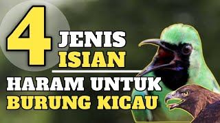 Download lagu 4 JENIS ISIAN INI DI ANGGAP PERUSAK SUARA KICAUAN BURUNG LAIN SUARA MATI ATAU SUARA SETAN mp3 Download lagu 4 JENIS ISIAN INI DI ANGGAP PERUSAK SUARA KICAUAN BURUNG LAIN SUARA MATI ATAU SUARA SETAN mp3
