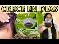 MEZCLA ESTA SABILA ALOE VERA Y TU CABELLO NO PARARÁ DE CRECER NO LO USES MUCHO REMEDIO POTENTE