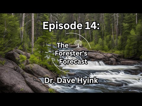 Episode 14: Dr. Dave Hyink