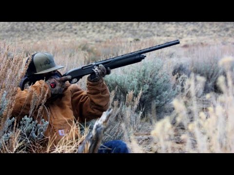 Can You Crow Hunt In The Desert? My First Crow Hunt