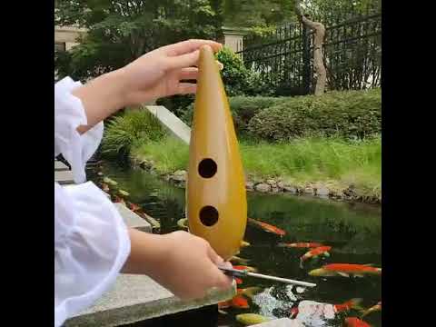 Plastic Guiro Merengue Guira ABS Percussion Instrument