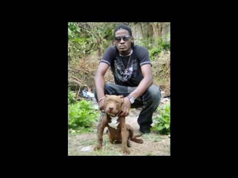 Aidonia ft Tarrus Riley-Low the trees