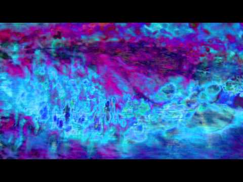 Video thumbnail for Fleas