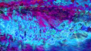 Katie Dey - Fleas (Official Music Video)