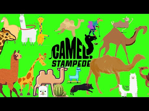 animal stampede - 9 | camel stampede green screen | giraffe version | camel run | Lama