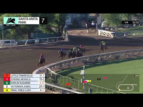 Little Tinker Elle Wins Race 7 on Sunday, February 1st at Santa Anita Park
