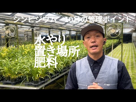 園芸 シンビジウムに関するよくある質問