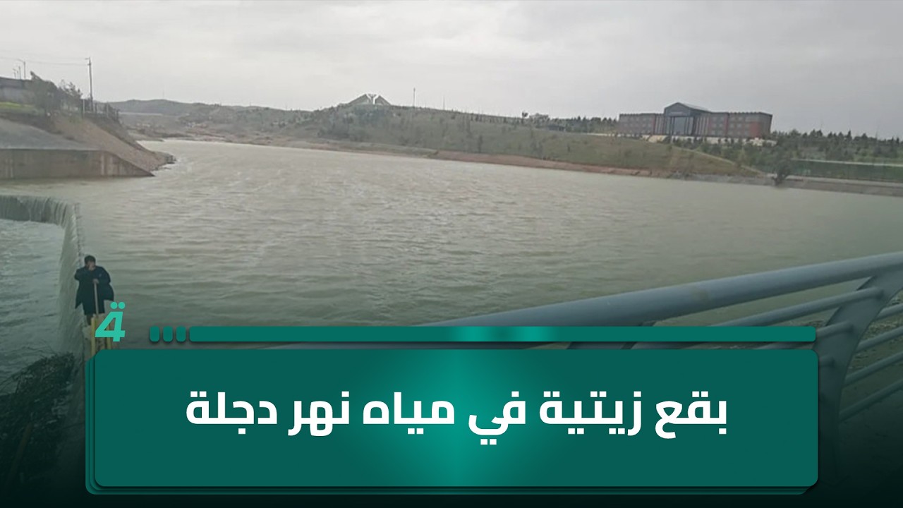 فيديو | بقع زيتية في مياه نهر دجلة بمحافظة صلاح الدين
