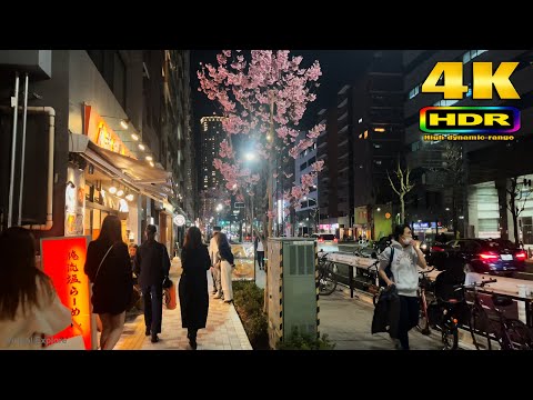 【4K HDR】Tokyo's Street of Cherry Blossoms at Night 2021 - Japan Walking Tour 東京散歩