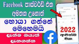 How To Recovery Forgotten Facebook Password In Sinhala | Sri Network