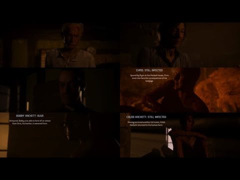 Video preview