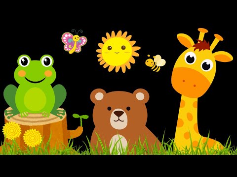 Baby Sensory Video - Tummy Time Newborn - Sensory Videos For Babies - Visual Stimulation #newborn