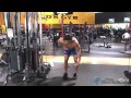 Cable Bent Over Lateral Raise Single Arm