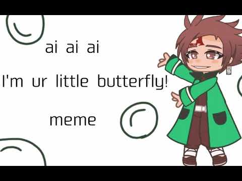ai ai ai i'm ur little butterfly! | meme | kamaboko squad