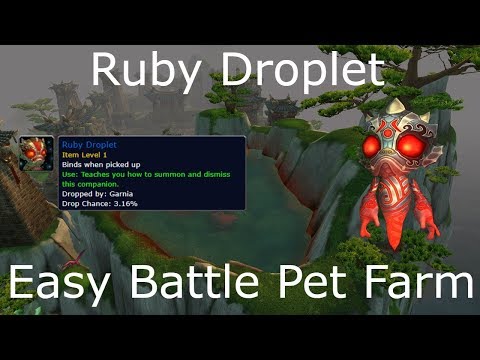 Ruby Droplet - WoW Battle Pet Gold Farm