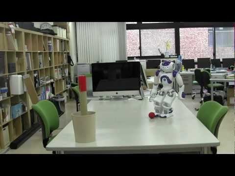 TDM: Nao kicking a ball to hit a target