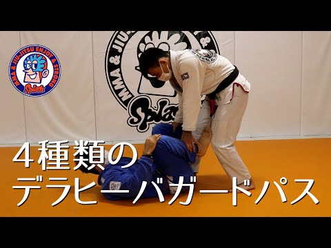 ４種類のデラヒーバガードパス