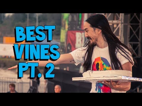 Steve Aoki's Best Vines Part 2 (ft. Zedd, Diplo, R3HAB, and more!)