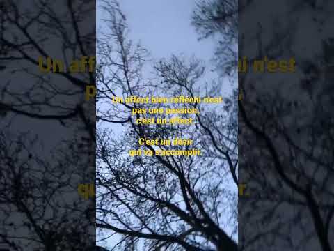 Robert Misrahi. Les affects chez Spinoza.