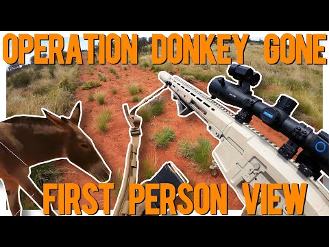 Donkey Operation: First-Person Action in the Outback