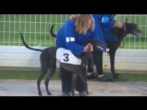 2018 STAR SPORTS DERBY FINAL - T3 DOROTAS WILDCAT