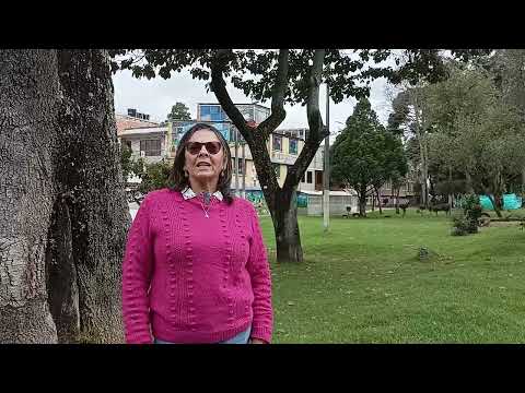 POSADA TURISTICA EL LEGADO 4K