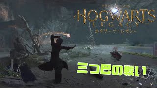 【ホグワーツレガシー】三つ巴の戦い【SPADE1136】