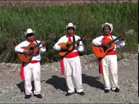 Trío Los Trigales - El Trigo