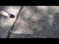 The Spotless Record Remake Clip