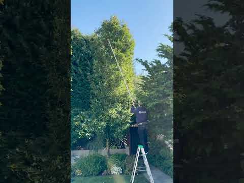 Thumbnail for Holiday Lights Installation: Upper Queen Anne Home Transformation! #shorts