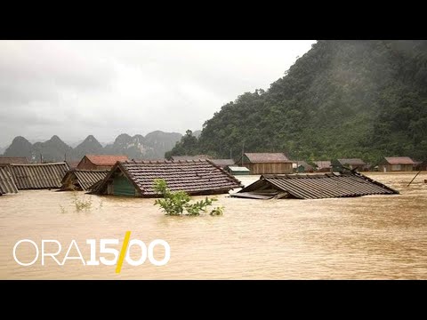 Fatkeqësitë natyrore - Tërmeti dridh Turqinë, uragani Xhamajkën