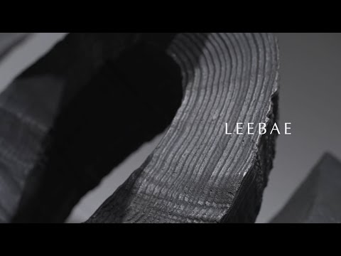 Lee Bae 이 배, Video, 2023