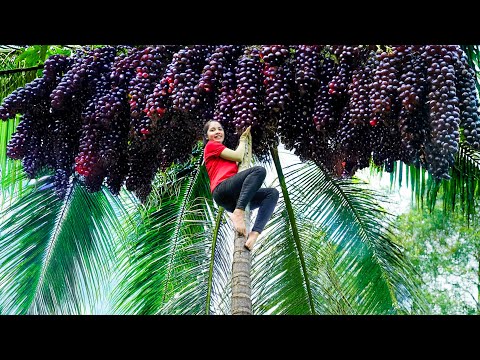 Harvesting Giant Anaconda Grapes Goes To Market Sell | Genius Farm Building Girl | Ly Tieu Kha