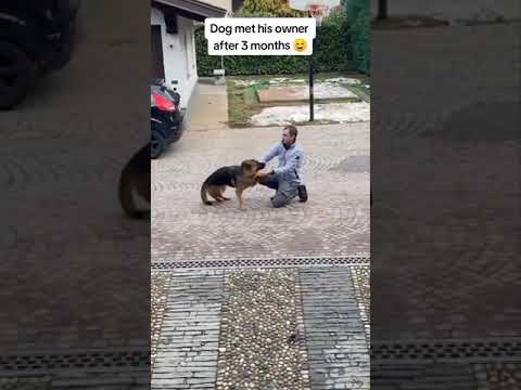 faithfull animal♥️