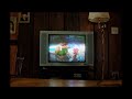 Super Mario Sunshine GameCube Breaking Bug