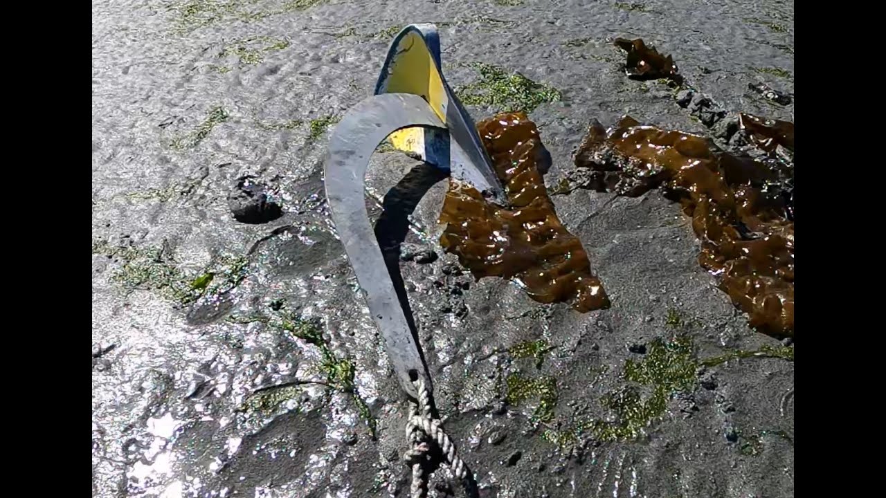 Anchor Seaweed Penetration.  Anchor Test Video #80.