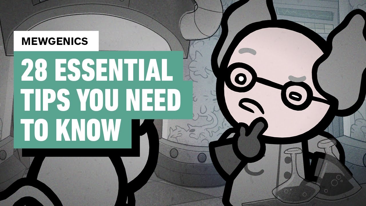 Mewgenics Essential Tips: How to Not Kill Your Cats